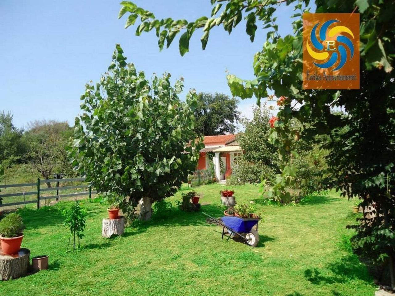 Apartament Errika Ypsos Zewnętrze zdjęcie